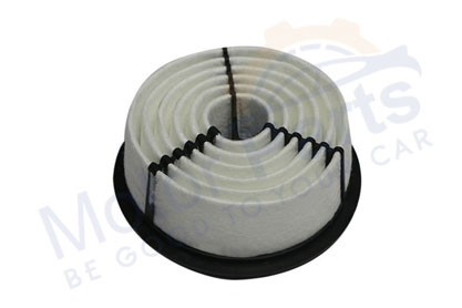 Air Filter Suitable For Maruti Esteem Mfi
